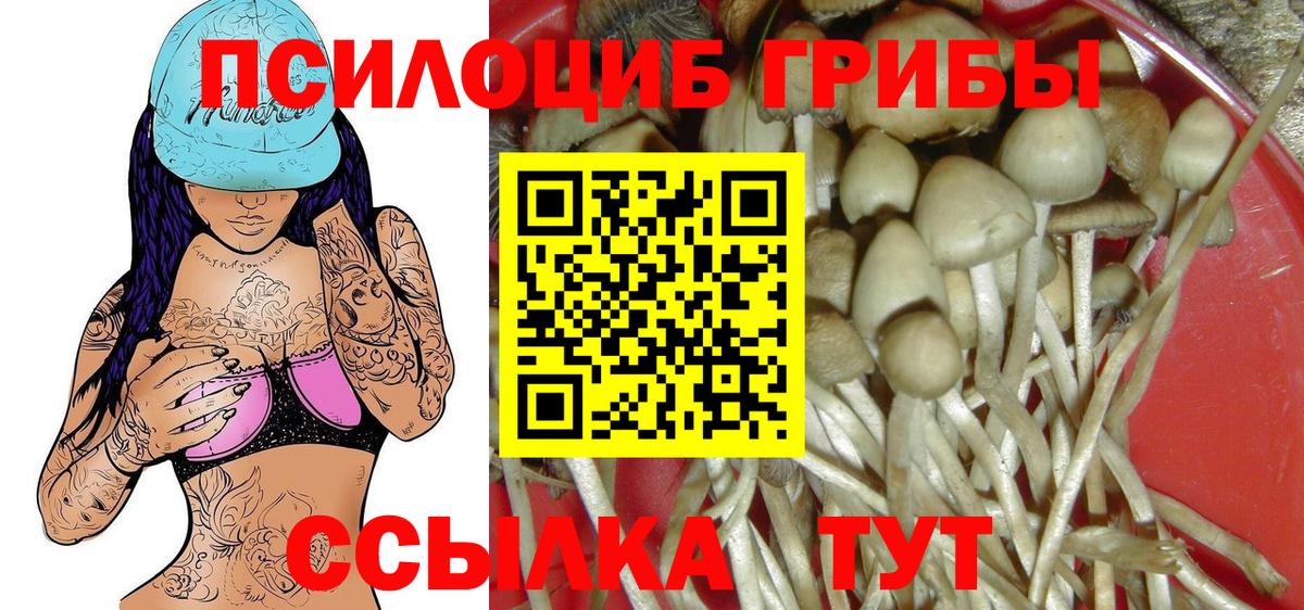 Галлюциногенные грибы MAGIC MUSHROOMS  Псилоцибиновые грибы MAGIC MUSHROOMS  хочу   Вход с VPN  Егорьевск 